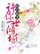 邪君霸宠:许你一世倾城