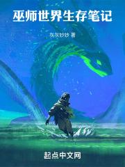 巫师世界生存笔记