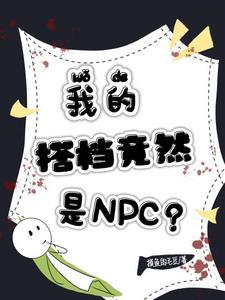 我的搭档竟然是NPC?