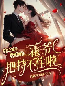 霍爷抢婚抱俩娃,追妻赛道夺第一