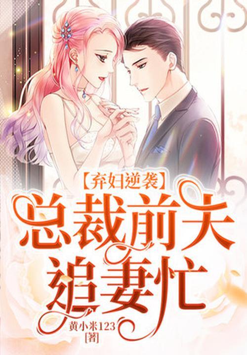 弃妇逆袭:总裁前夫追妻忙